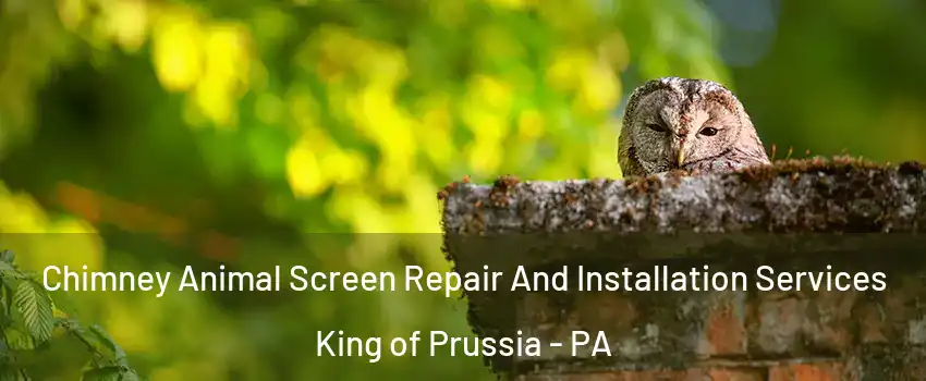  Chimney Animal Screen Repair And Installation Services King of Prussia - PA