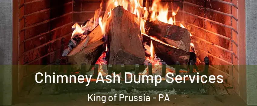  Chimney Ash Dump Services King of Prussia - PA