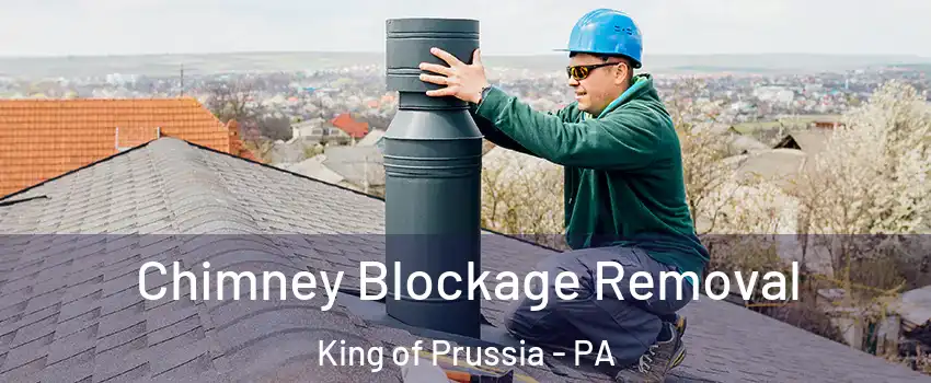 Chimney Blockage Removal King of Prussia - PA