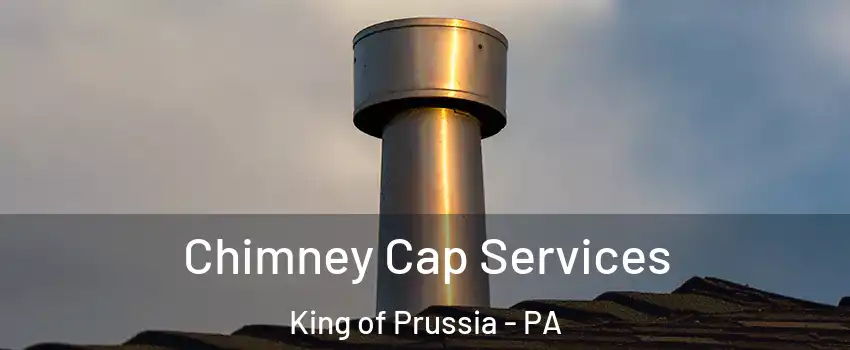  Chimney Cap Services King of Prussia - PA