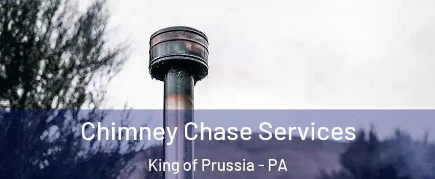  Chimney Chase Services King of Prussia - PA