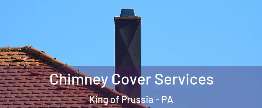  Chimney Cover Services King of Prussia - PA