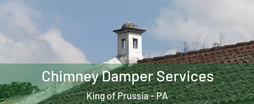  Chimney Damper Services King of Prussia - PA