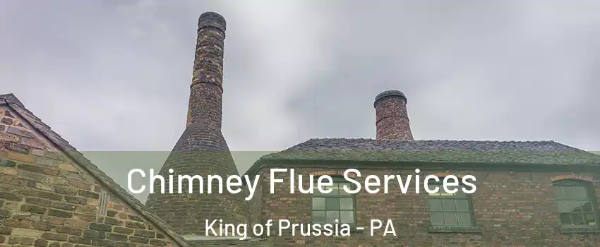  Chimney Flue Services King of Prussia - PA