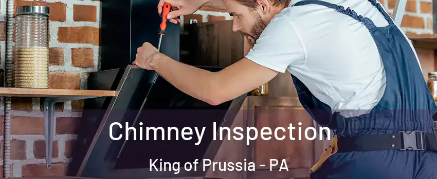  Chimney Inspection King of Prussia - PA