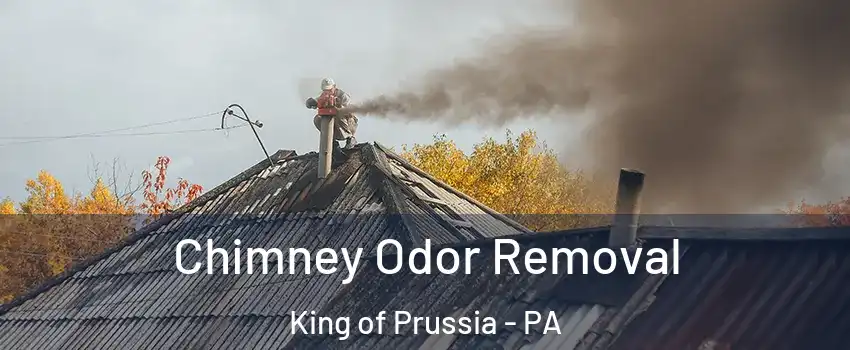  Chimney Odor Removal King of Prussia - PA