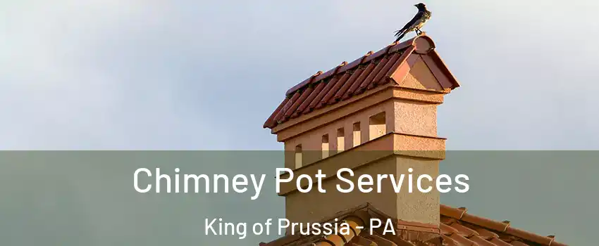  Chimney Pot Services King of Prussia - PA