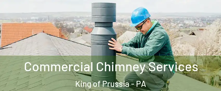  Commercial Chimney Services King of Prussia - PA