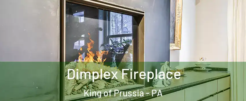  Dimplex Fireplace King of Prussia - PA