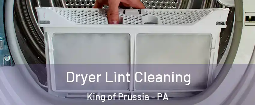  Dryer Lint Cleaning King of Prussia - PA