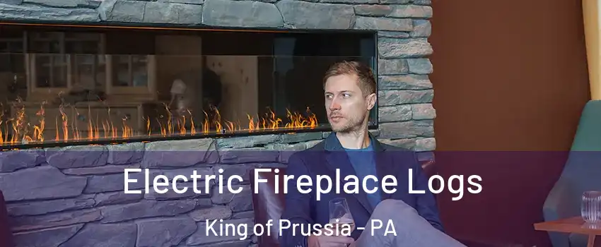 Electric Fireplace Logs King of Prussia - PA