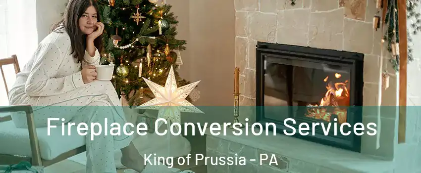  Fireplace Conversion Services King of Prussia - PA