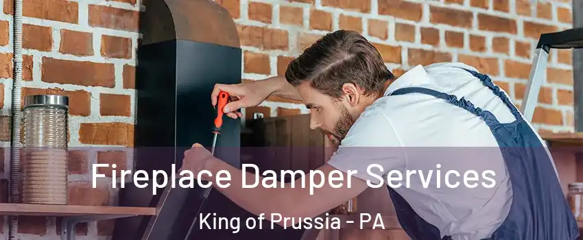  Fireplace Damper Services King of Prussia - PA