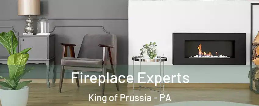  Fireplace Experts King of Prussia - PA