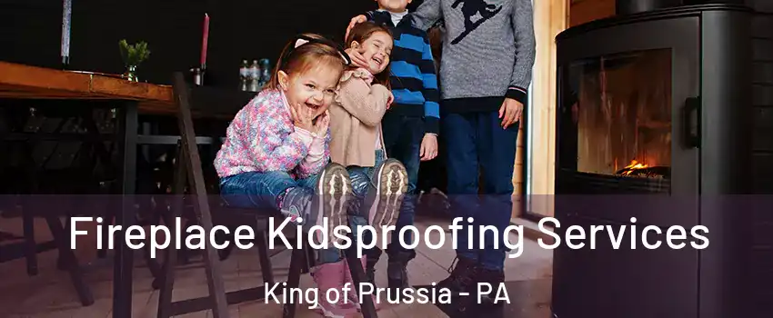  Fireplace Kidsproofing Services King of Prussia - PA