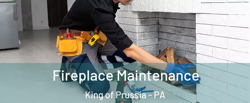  Fireplace Maintenance King of Prussia - PA