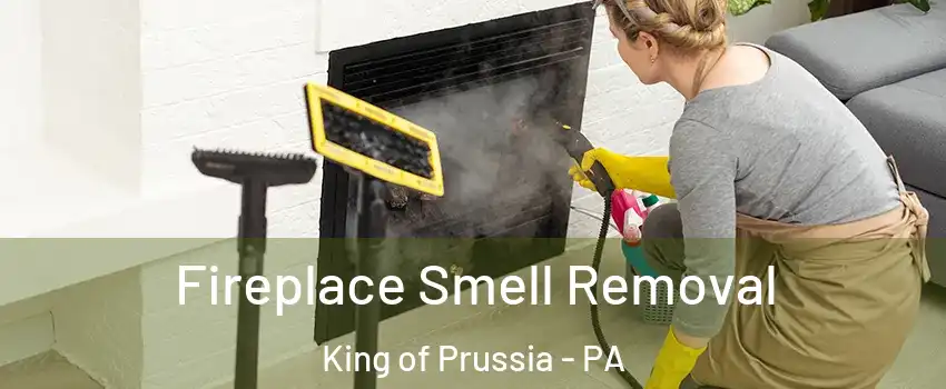  Fireplace Smell Removal King of Prussia - PA