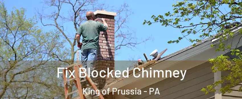  Fix Blocked Chimney King of Prussia - PA