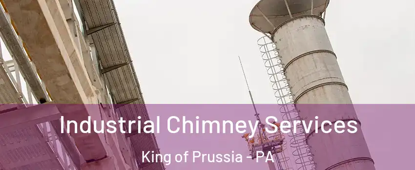  Industrial Chimney Services King of Prussia - PA