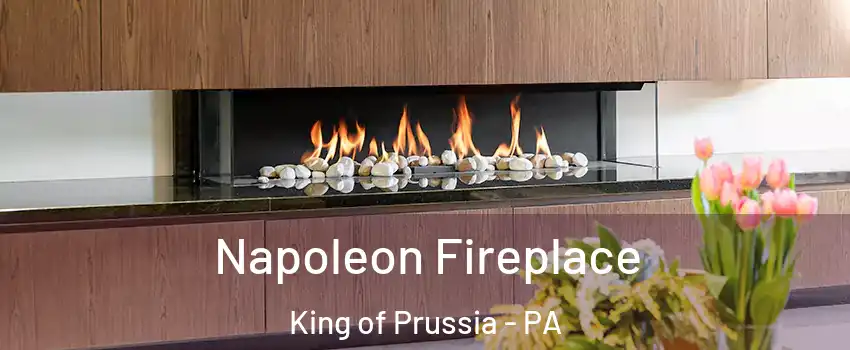  Napoleon Fireplace King of Prussia - PA