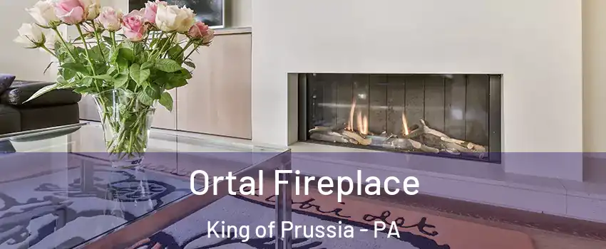 Ortal Fireplace King of Prussia - PA