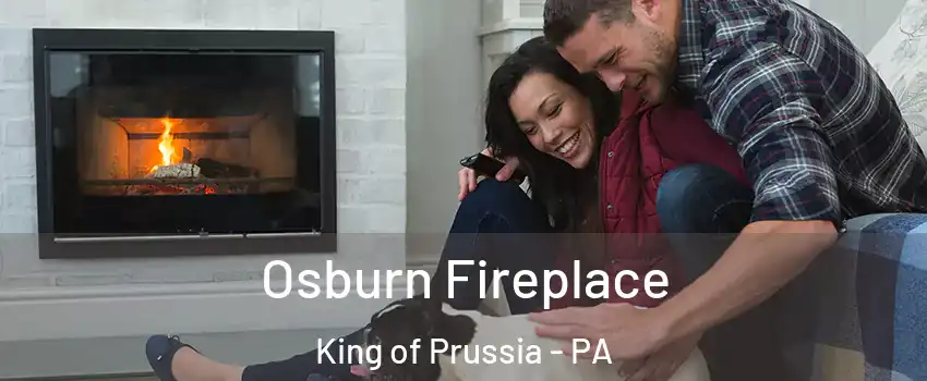  Osburn Fireplace King of Prussia - PA