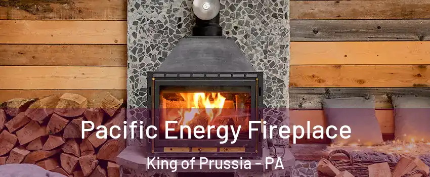  Pacific Energy Fireplace King of Prussia - PA