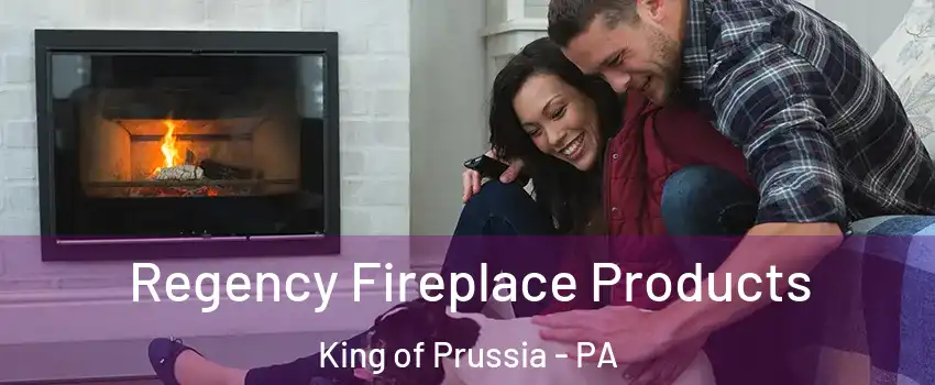  Regency Fireplace Products King of Prussia - PA