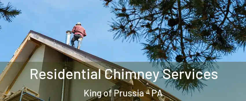  Residential Chimney Services King of Prussia - PA